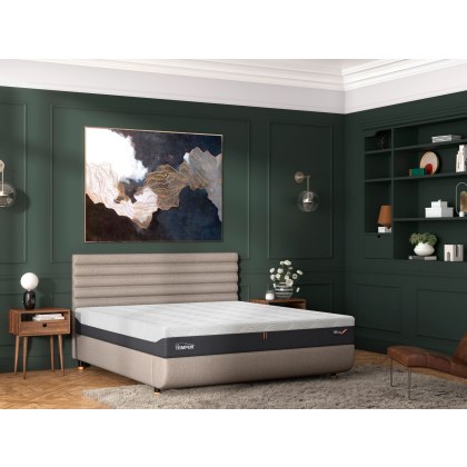 Tempur Arc Static Disc Bed with Vectra Headboard