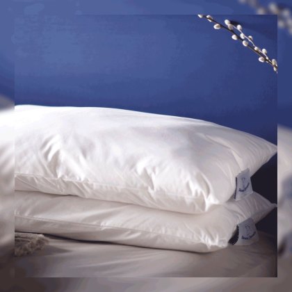Devon Duvets Original Wool Pillow Devon Duvets Original Wool Pillow