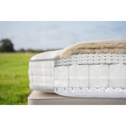 Harrison Spinks Gold 9500 Mattress Harrison Spinks Gold 9500 Mattress