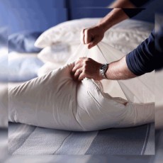 Devon Duvets 2 Fold Wool Pillow Devon Duvets 2 Fold Wool Pillow