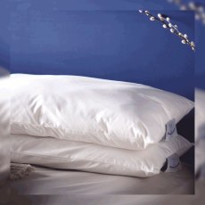 Devon Duvets Original Wool Pillow Devon Duvets Original Wool Pillow