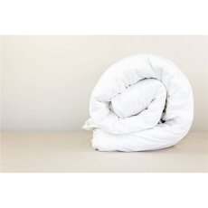 Peter Betteridge Goose Feather Down Duvet - 10.5 Tog Peter Betteridge Goose Feather Down Duvet - 10.5 Tog