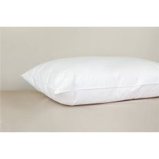 Peter Betteridge Down Around Pillow Peter Betteridge Down Around Pillow