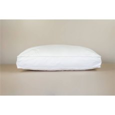 Peter Betteridge Microfil Medium Boxed Edge Pillow Peter Betteridge Microfil Medium Boxed Edge Pillow