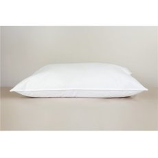 Peter Betteridge Microfil Square Firm Pillow Peter Betteridge Microfil Square Firm Pillow