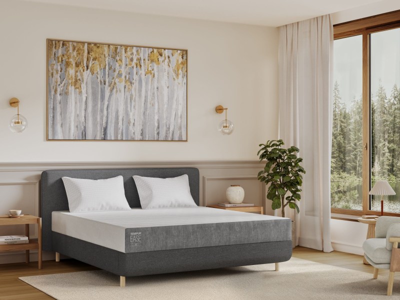 Tempur Tempur Ease 22 Mattress