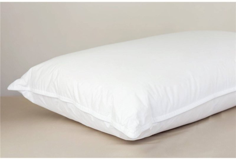 Peter Betteridge Collection Peter Betteridge Goose Feather & Down Pillow
