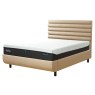 Tempur Tempur Arc Static Disc Bed with Vectra Headboard