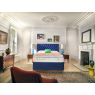 Sleepeezee Sleepeezee Centurial 03 Platform Top Divan Set