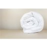 Peter Betteridge Collection Peter Betteridge Microfil Duvet - 13.5 Tog