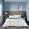 HS CALICO   CHALK LEAF SPRIG BLUE main HR   Medium