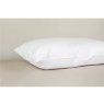 Peter Betteridge Down Around Pillow