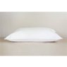 Peter Betteridge Goose Feather Down Square Pillow