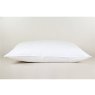 Peter Betteridge Collection Peter Betteridge Microfil Firm Pillow