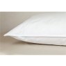 Peter Betteridge Collection Peter Betteridge Microfil Firm Pillow