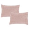Bianca Bianca Attica Velvet Pillowsham Pair in Pink