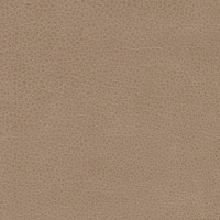 Colorado Sand