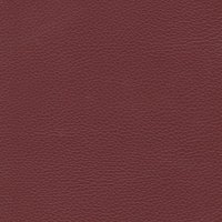 Manhatten Ruby