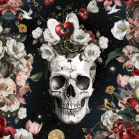 NIGHT SKULL (baja)