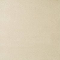 FAUX SUEDE - Champagne - 409