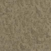 Daytona Stone