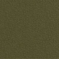 Severn Fern - Fabric