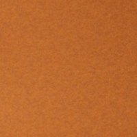 Oxford Spice