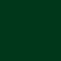 PREMIUM 501 EMERALD GREEN
